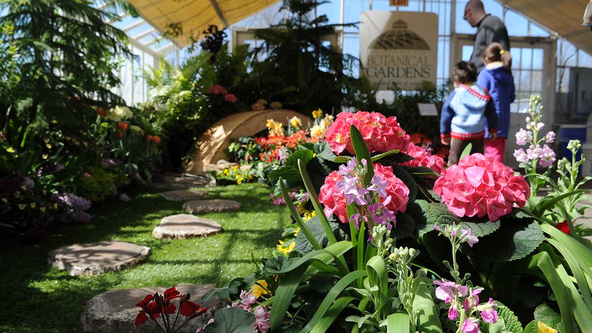 Botanical-Gardens-Spring-Flower-Show